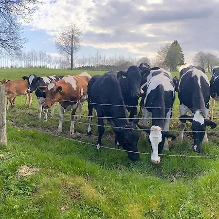 Fewomonciao2019-panorama 2 People To Max4 People * Monschau